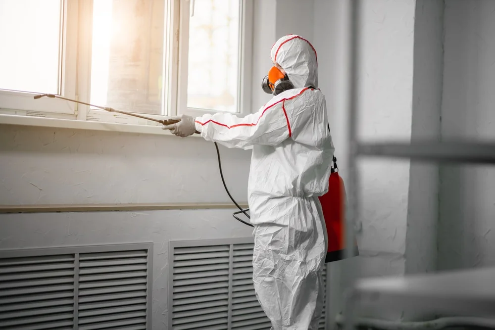 Professional mold remediation services in Ada, MI